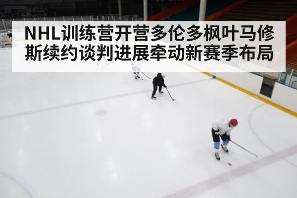 ice hockey training camp practice